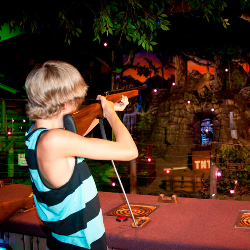 Guest Aiming At Shooting Gallery