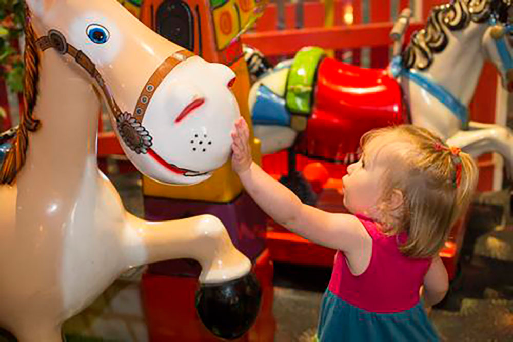 Young Child Touches Carousel Horse In Wonder Farm